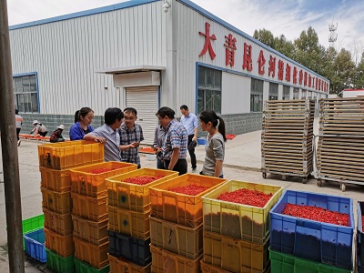 829f43285efe4e38b7e881924f518509.jpg 1.jpg