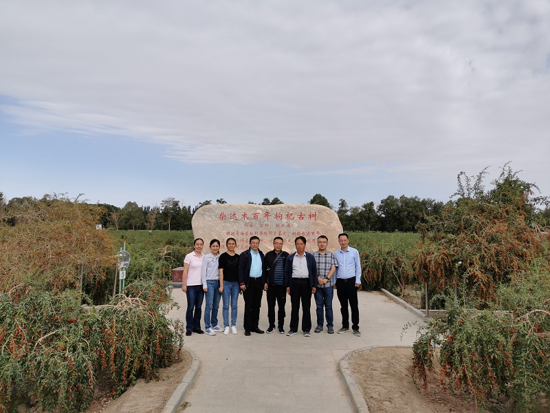 cf6f233cbbb74a98bf2d374b2eb99d8e.jpg 5.jpg