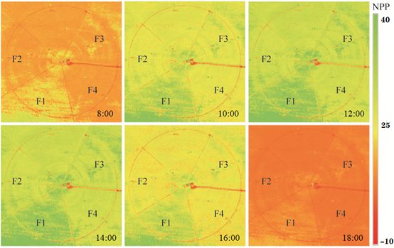 f616036df24d42329623941f2c9c11f1.png image.png