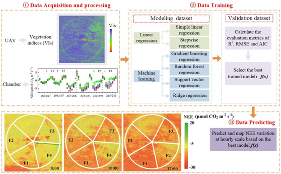 ae00960c970749b38f2798472209d293.png image.png