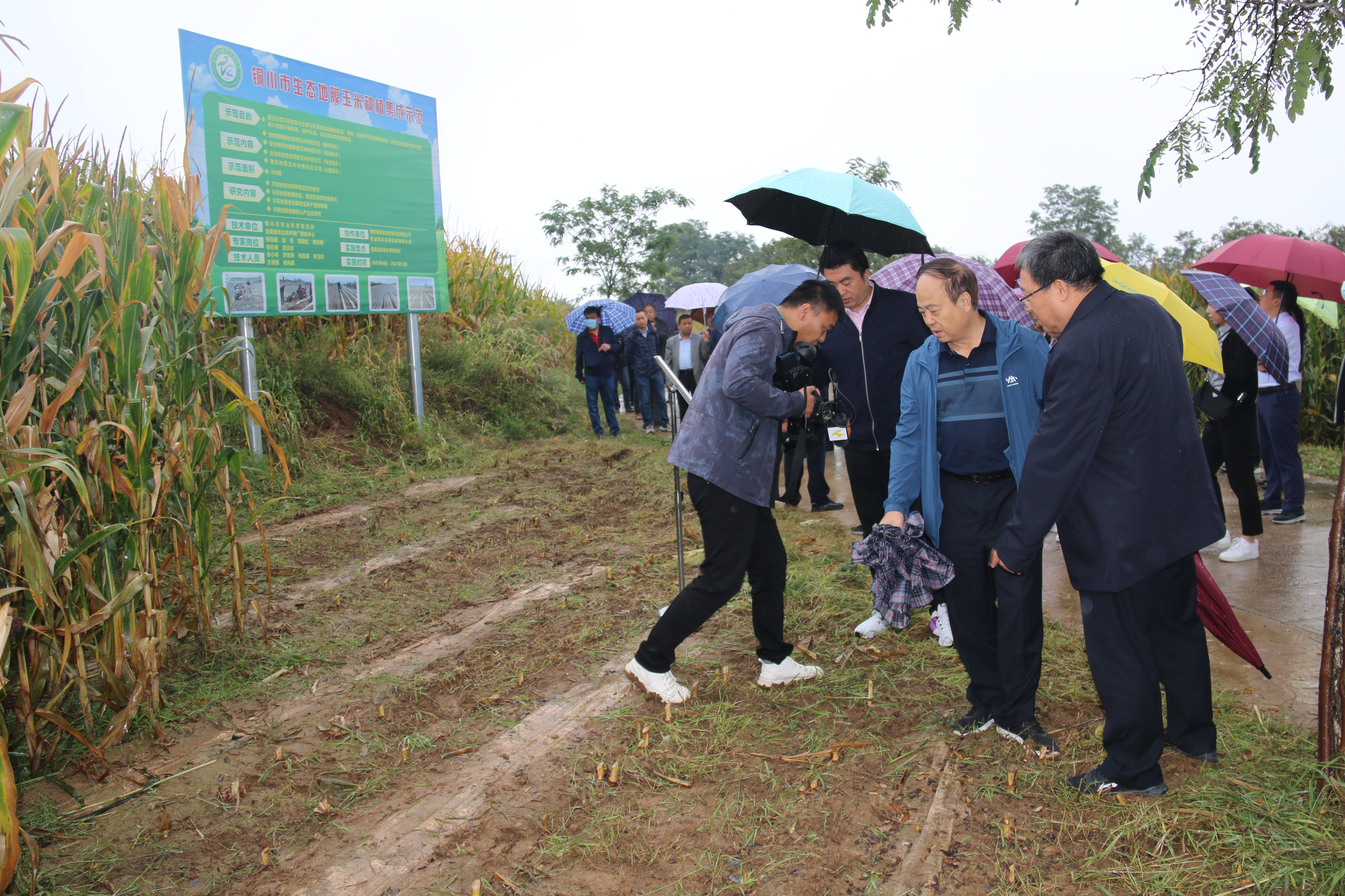 d868f6f80ab04a04ac55db9986034fcf.jpg d868f6f80ab04a04ac55db9986034fcf.jpg