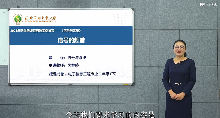 吴婷婷1.png
