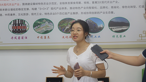 干部史贵红对当地乡村振兴策略进行解说.png