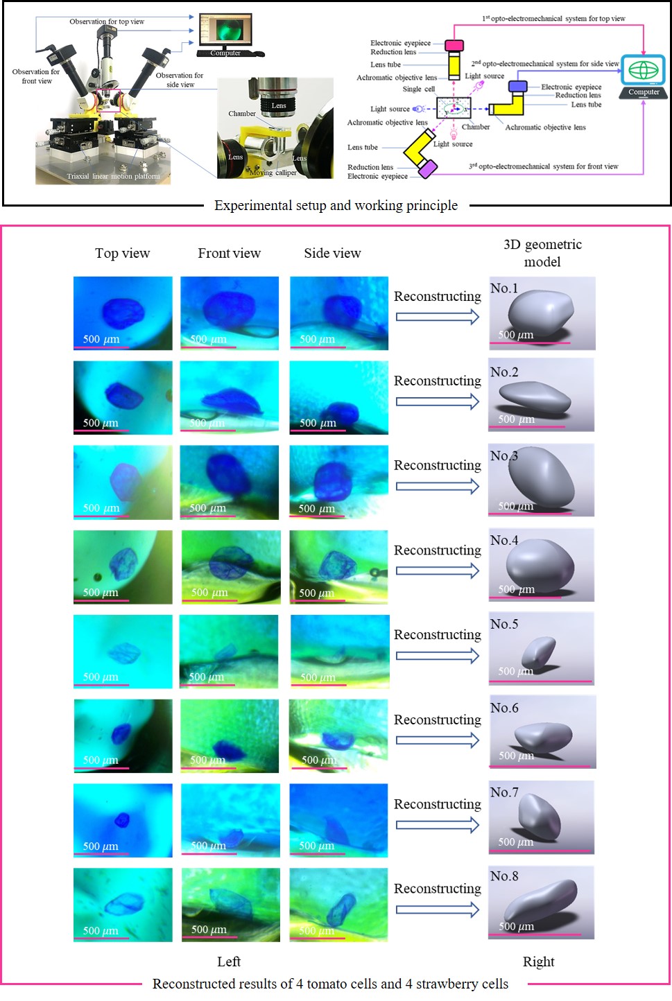 e78da8480f8b405b95a8413f92f01156.jpg 图形化摘要.jpg